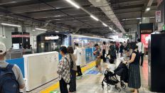 72305.jpg