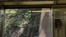 72307.jpg