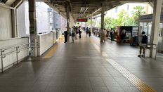 72308.jpg