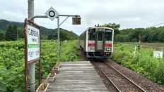 72401.jpg
