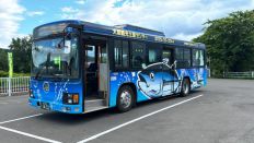72625.jpg