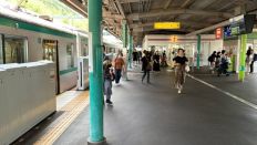 72650.jpg