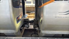 73297-2.jpg