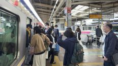 73455.jpg