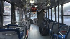 73609-1.jpg