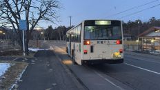 73610.jpg