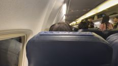 73667-3.jpg