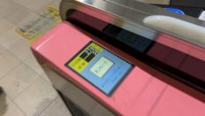 73670-1.jpg