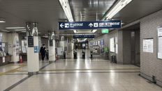 73761-2.jpg