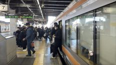 73800.jpg
