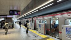 73929-2.jpg