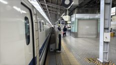 73929.jpg