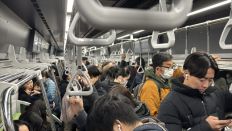 73930-2.jpg