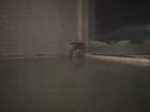 73991-1.jpg