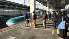 74029-3.jpg