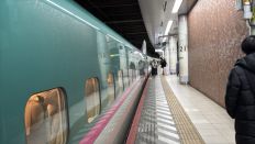 74031.jpg