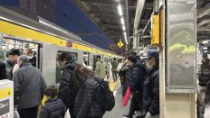 74033.jpg