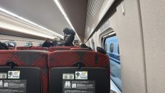 74035-2.jpg