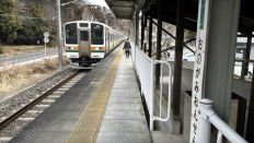 74113.jpg