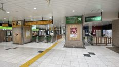 74213-1.jpg