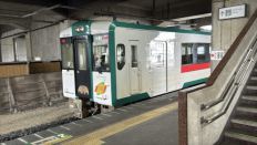 74225-2.jpg
