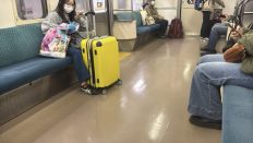 74266-1.jpg