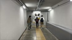 74269-3.jpg