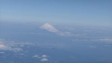 74319-1.jpg