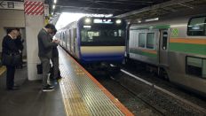 74323.jpg