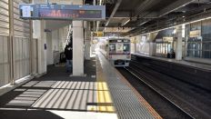 74330.jpg