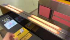 74337-2.jpg