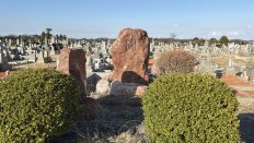74338.jpg