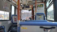 74382-2.jpg