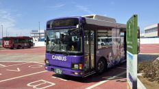 74405-1.jpg