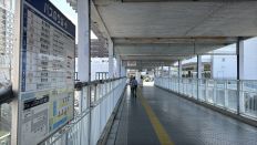 74499-6.jpg