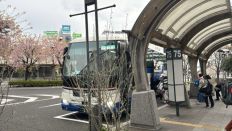74522.jpg