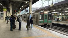 74523.jpg