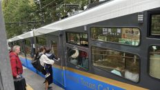 74596-3.jpg