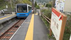 74597.jpg