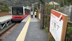 74599.jpg