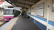 74977-1.jpg