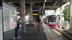 74980-1.jpg