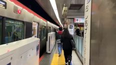 74994.jpg