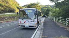 75108.jpg