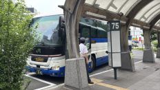 75127.jpg