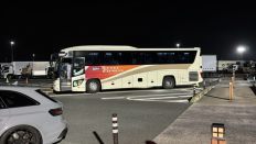 75176.jpg