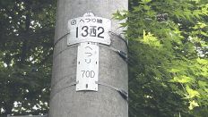 75234.jpg