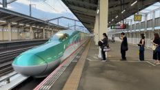 75362-1.jpg