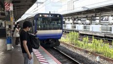 75367-1.jpg