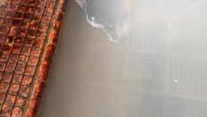 75402-2.jpg